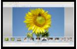 EasyShare