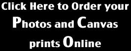Order your photos online