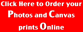 Order your photos online